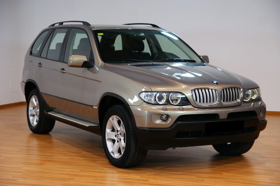 BMW COCHES BMW X5 218 CV.