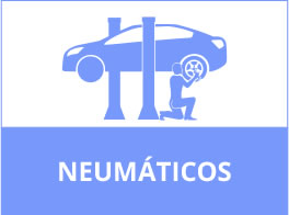 Neumáticos